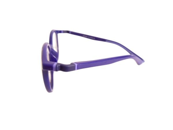 BFLEX - Imagen 3