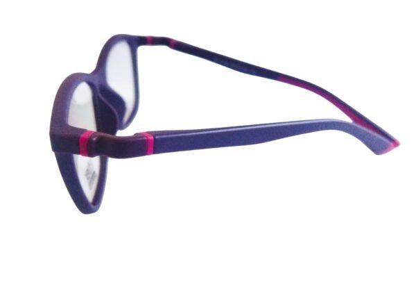 BFLEX - Imagen 3
