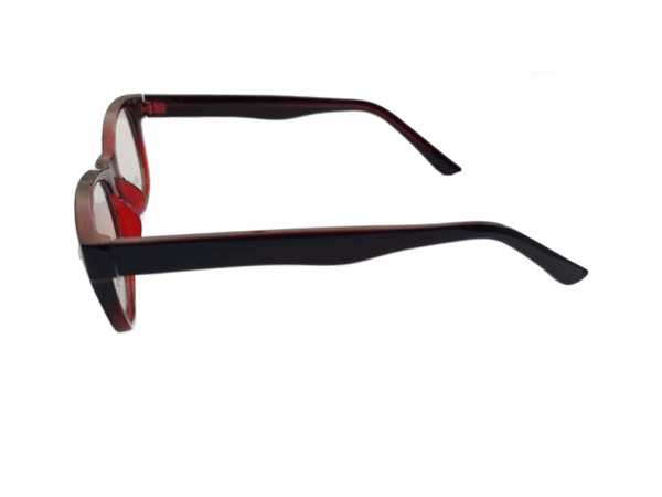 OPTIC - Imagen 2