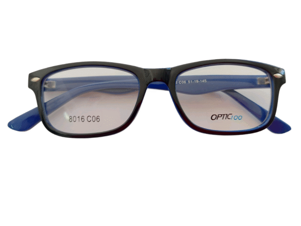 OPTIC